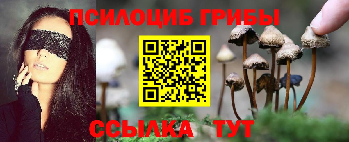 Галлюциногенные грибы Magic Shrooms  Галлюциногенные грибы Magic Shrooms  наркотики  Вход с VPN  Ессентуки 