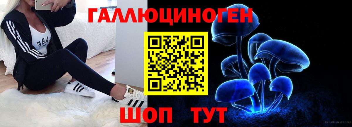 Псилоцибиновые грибы GOLDEN TEACHER Ессентуки